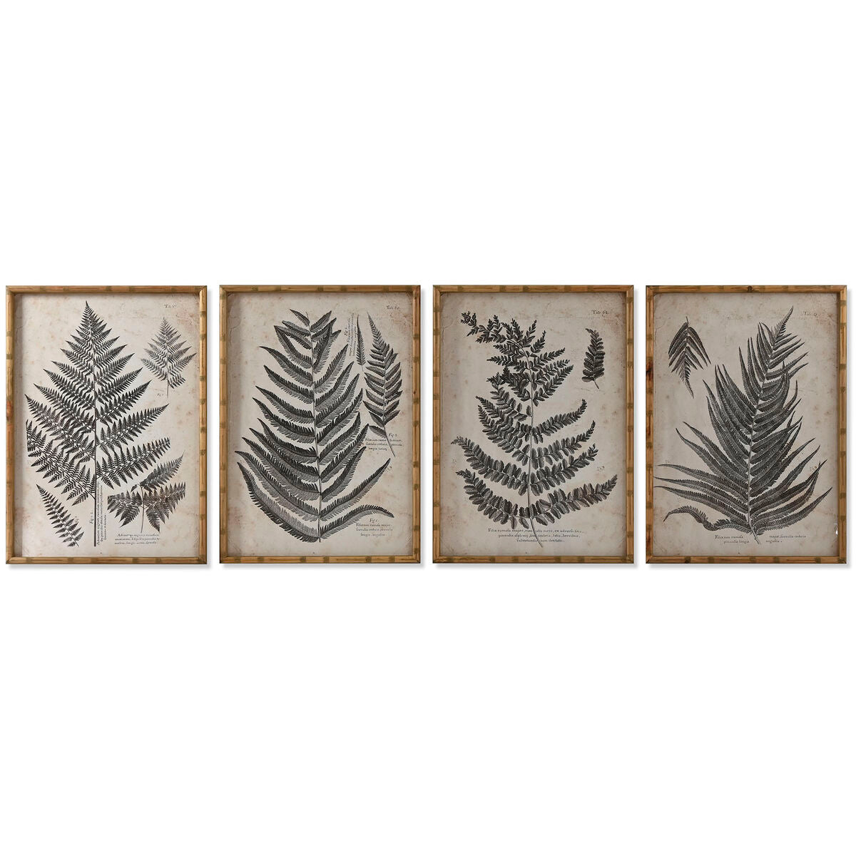 Πίνακας Home ESPRIT Κρυστάλλινο Έλατο 50 x 3 x 70 cm 50 x 2,5 x 70 cm