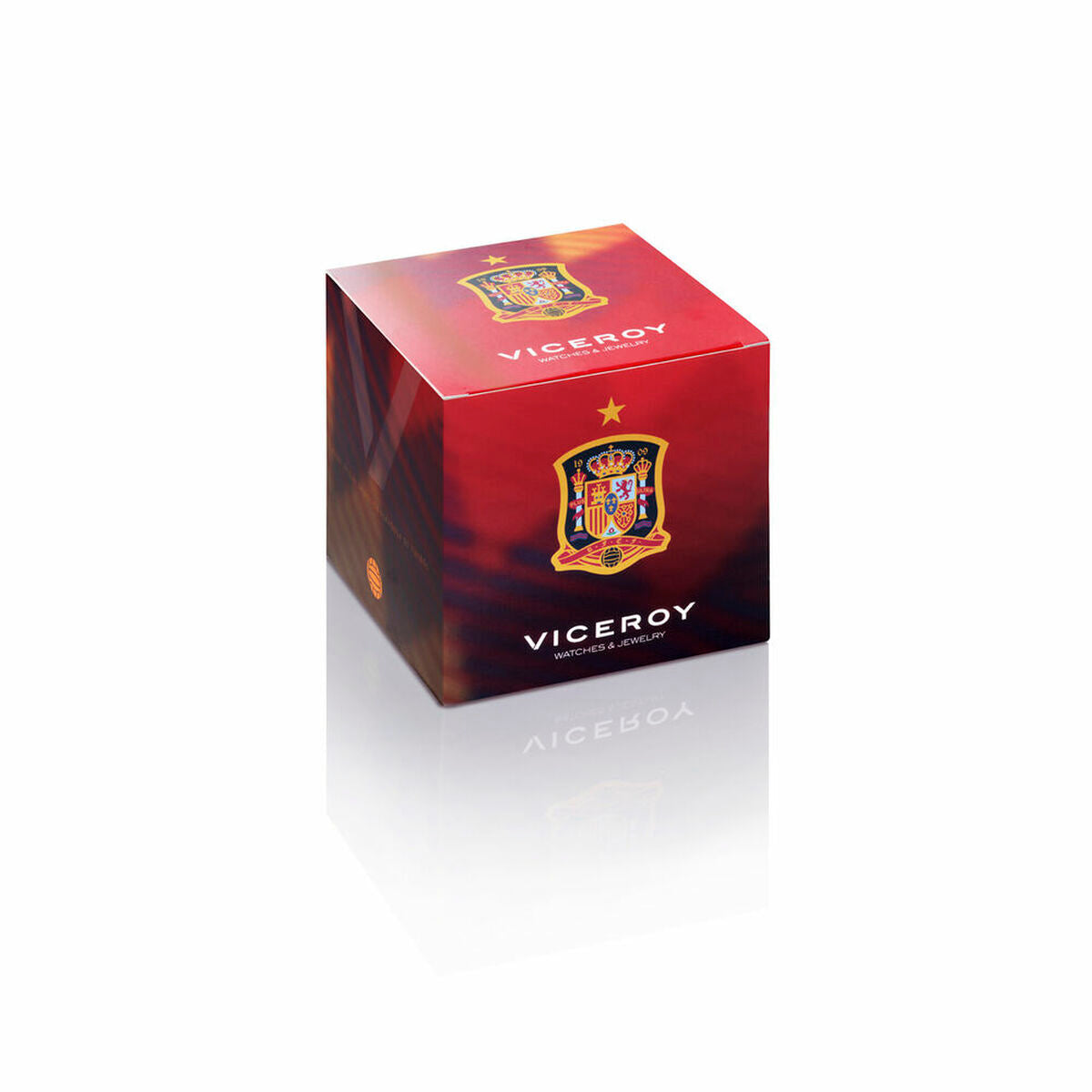Γυναικεία Σκουλαρίκια Viceroy 7122E000-38