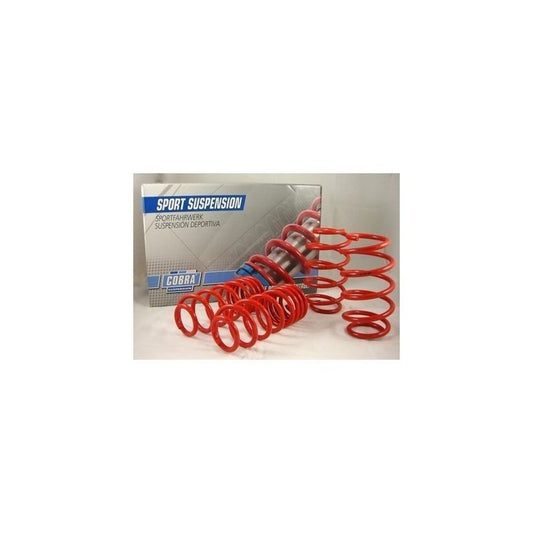 Σετ ελατηρίων Cobra COB078243