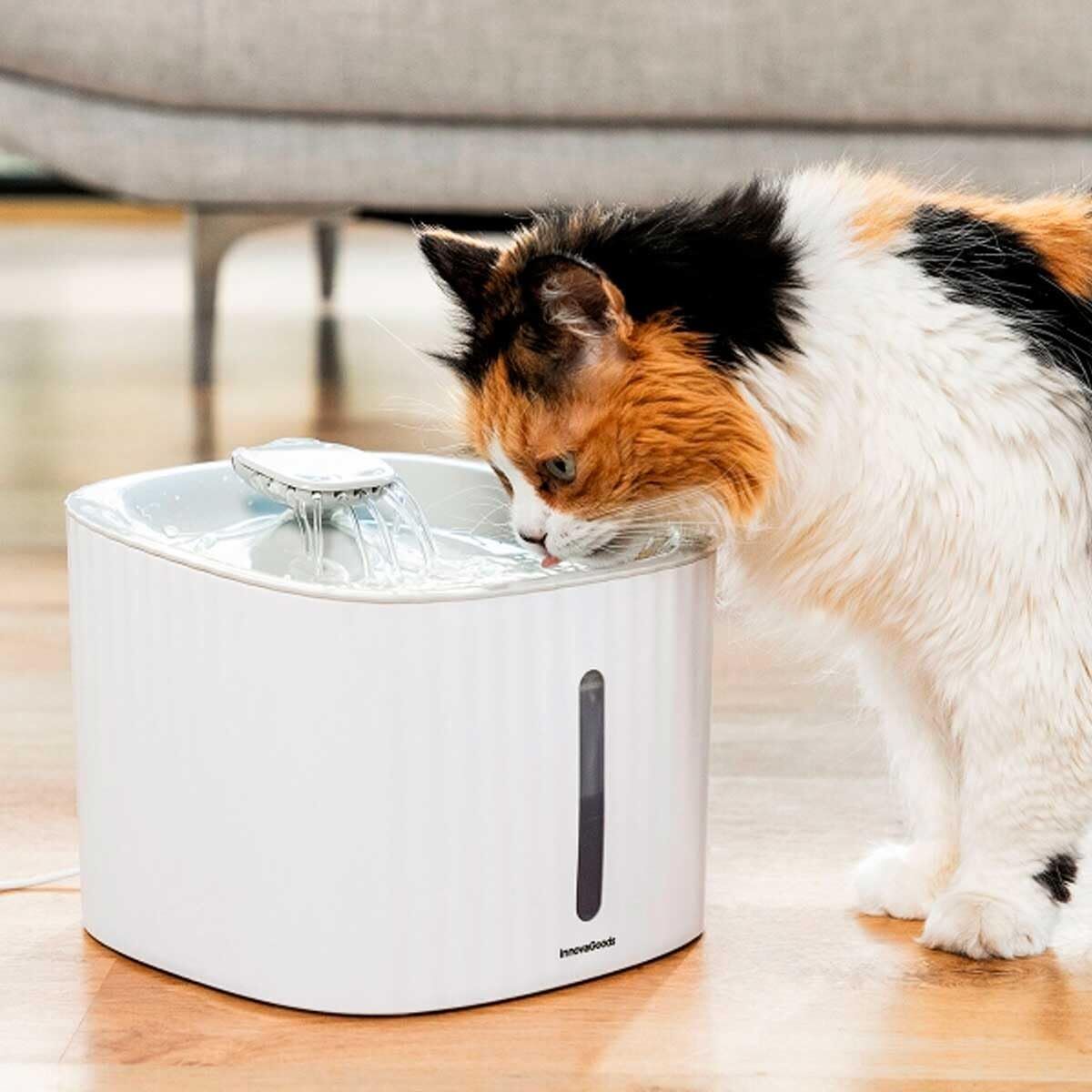 Σιντριβάνι Κατοικίδιων Ζώων InnovaGoods πολυπροπυλένιο 3 L (Ανακαινισμένα C)