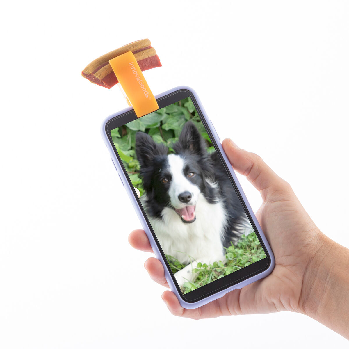 Pack Κλιπ Selfies για κατοικίδια και Κρεμαστή Αιώρα για Γάτες InnovaGoods