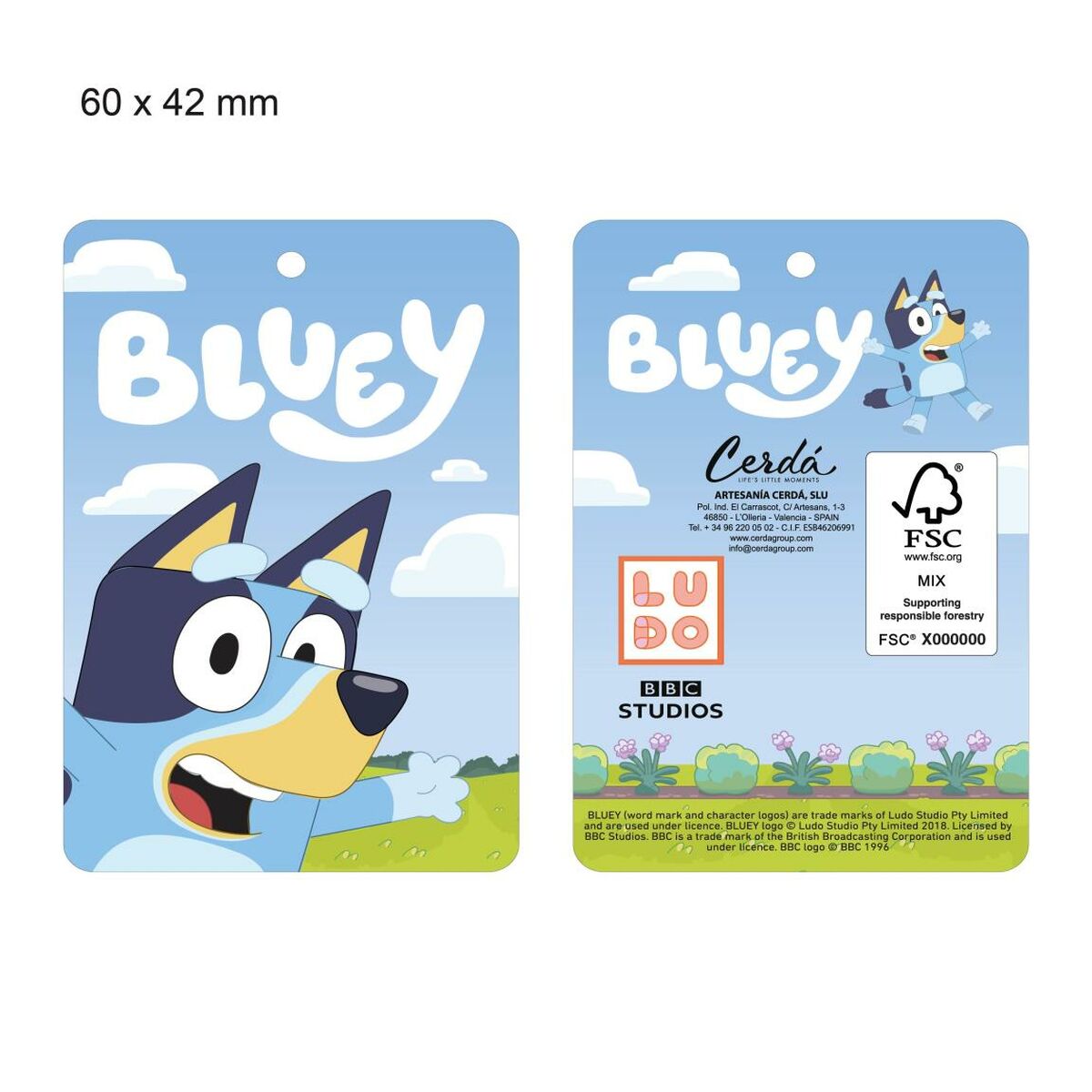 παντόφλες για το σπίτι Bluey Ανοιχτό Μπλε