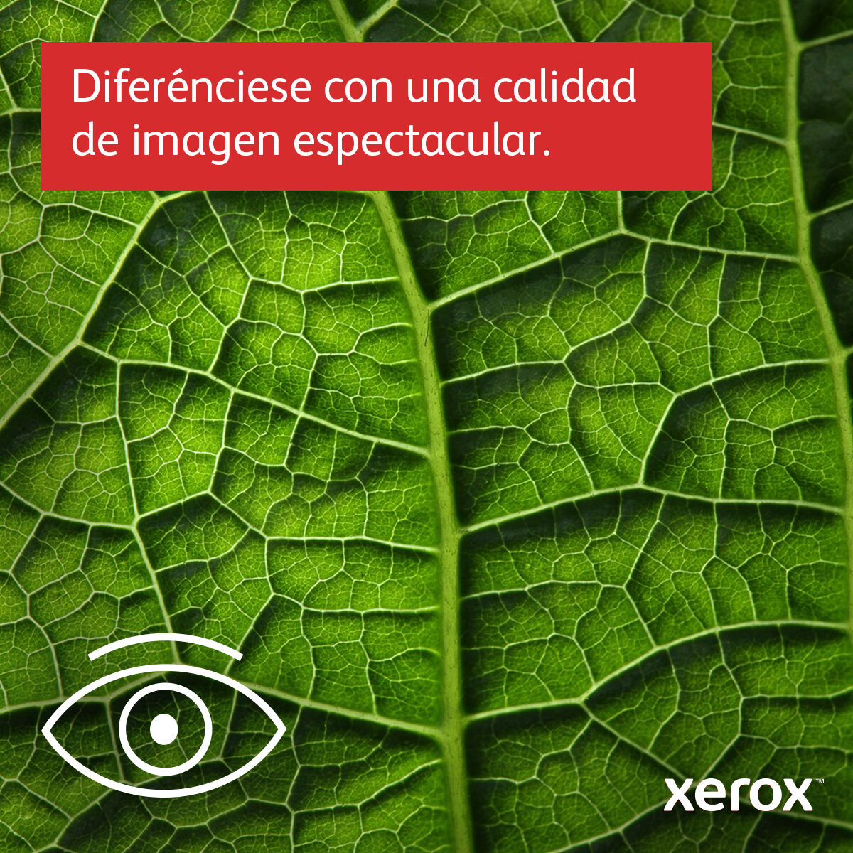 Εκτυπωτής Λέιζερ Xerox C415V_DN