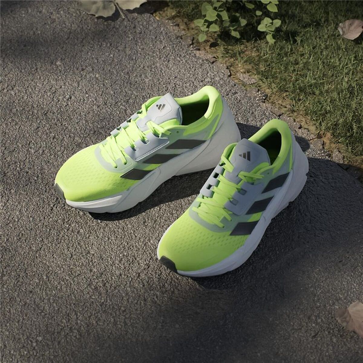 Παπούτσια για Τρέξιμο για Ενήλικες Adidas Adistar 2 Κίτρινο