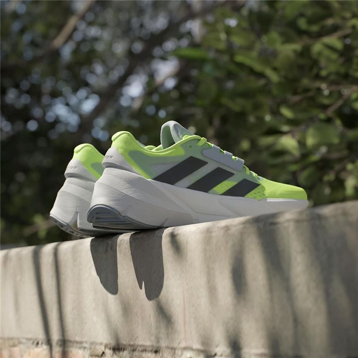 Παπούτσια για Τρέξιμο για Ενήλικες Adidas Adistar 2 Κίτρινο