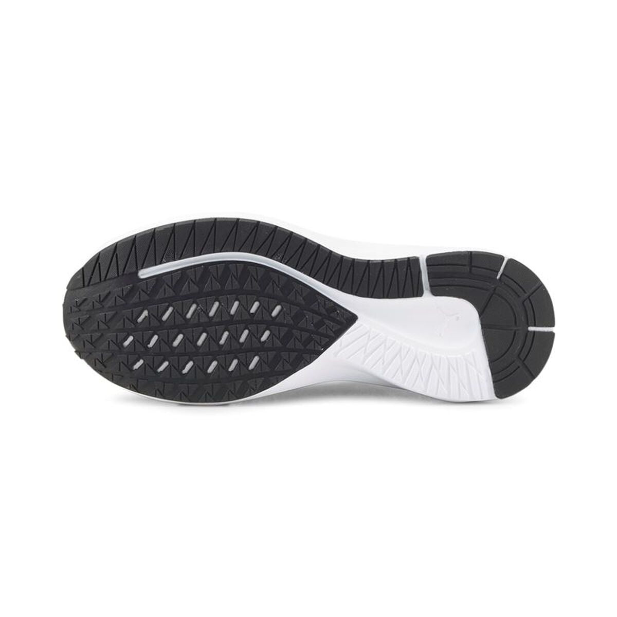 Παπούτσια για Τρέξιμο για Ενήλικες Puma Aviator Sky Μαύρο