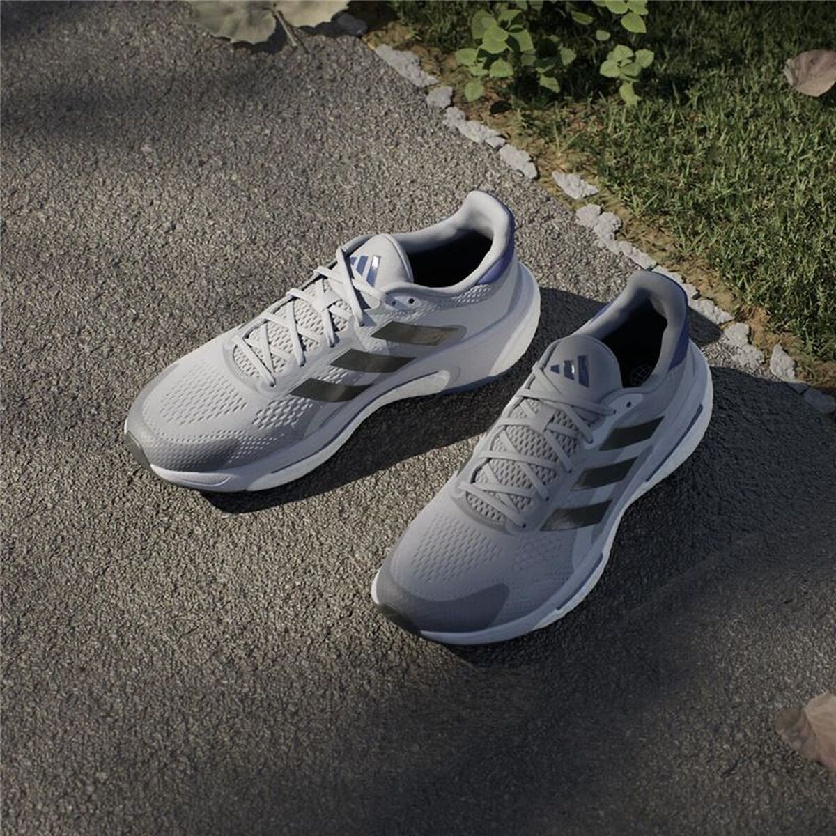 Παπούτσια για Tρέξιμο για Ενήλικες Adidas Solarcontrol 2 Γκρι