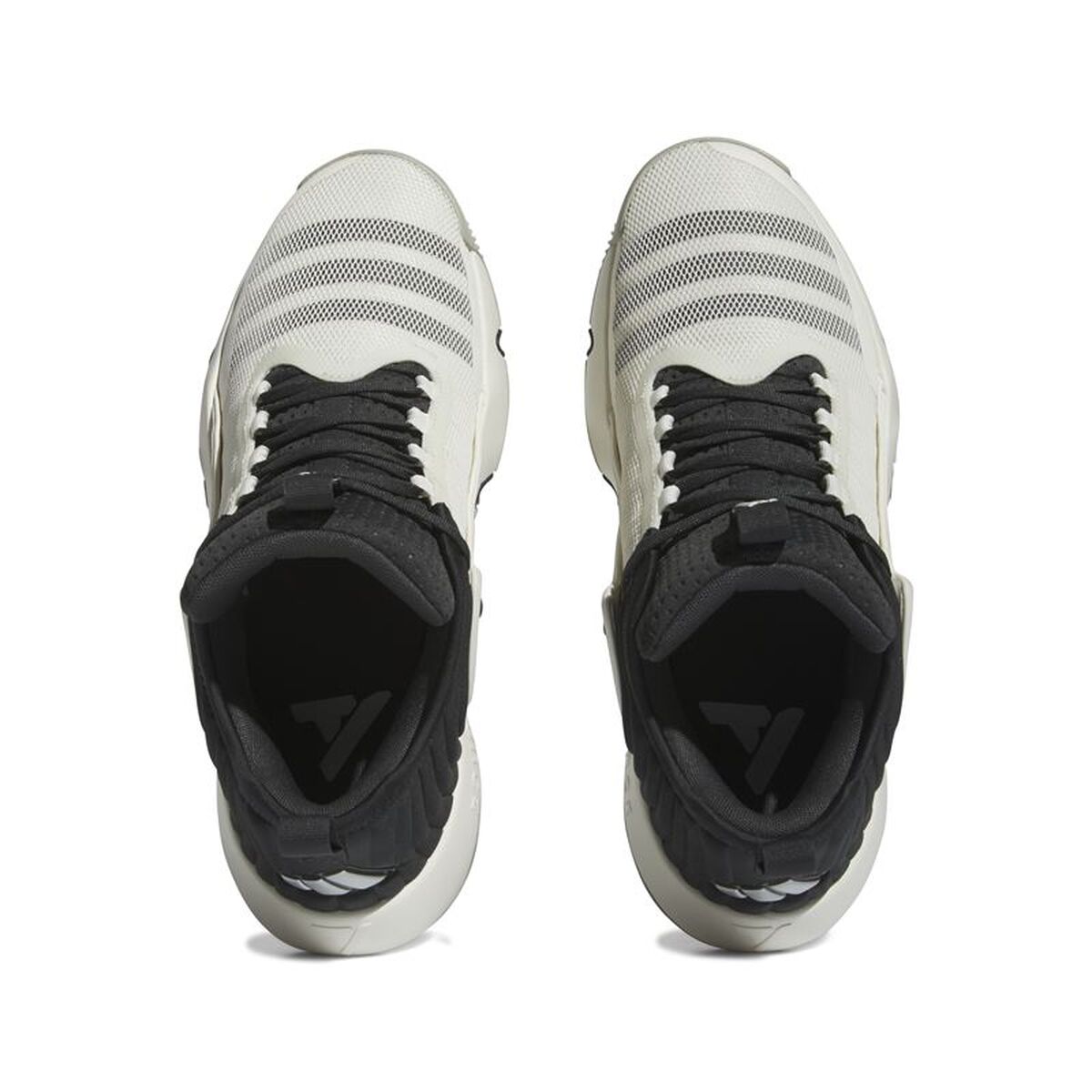 Παπούτσια Μπάσκετ για Ενήλικες Adidas IF5609 Μαύρο