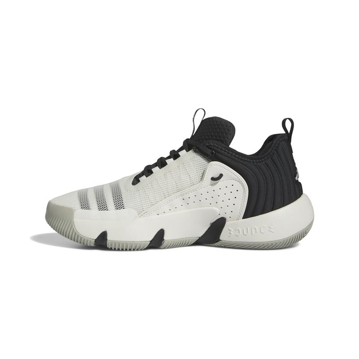 Παπούτσια Μπάσκετ για Ενήλικες Adidas IF5609 Μαύρο