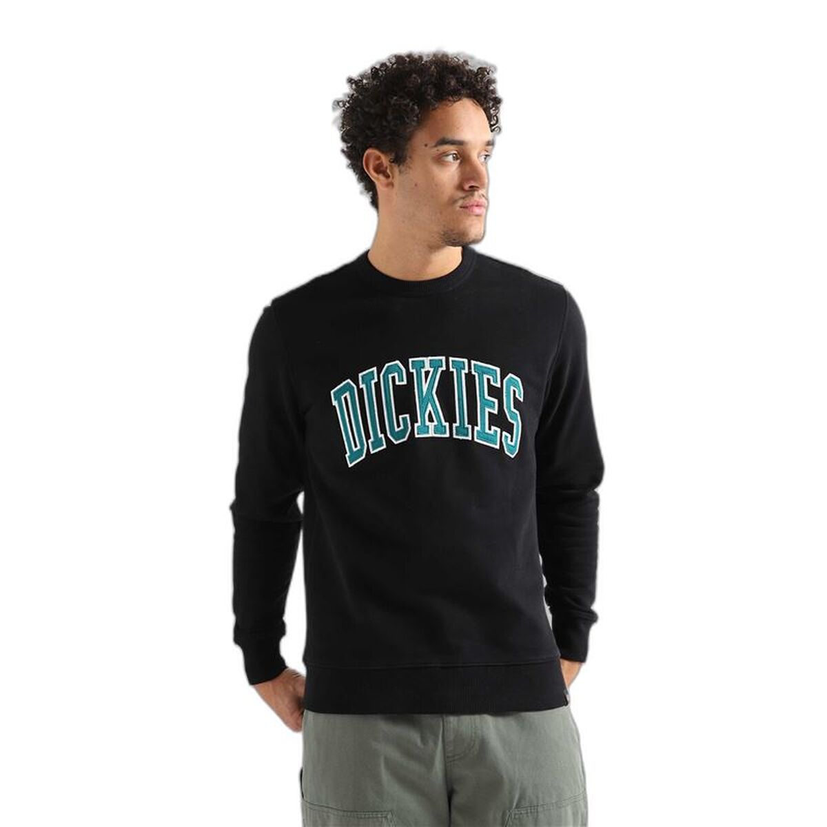Ανδρικό Φούτερ με Κουκούλα Dickies Aitkin Μαύρο