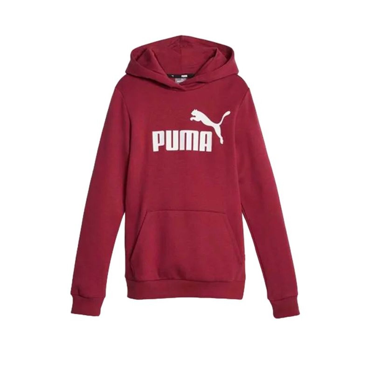 Παιδικό Φούτερ με Κουκούλα Puma Ess Καφέ