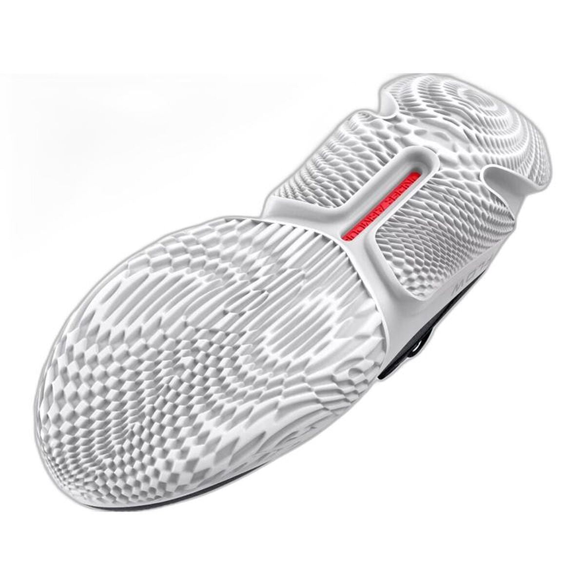 Παπούτσια Μπάσκετ για Ενήλικες Under Armour 3026630-102 Γκρι