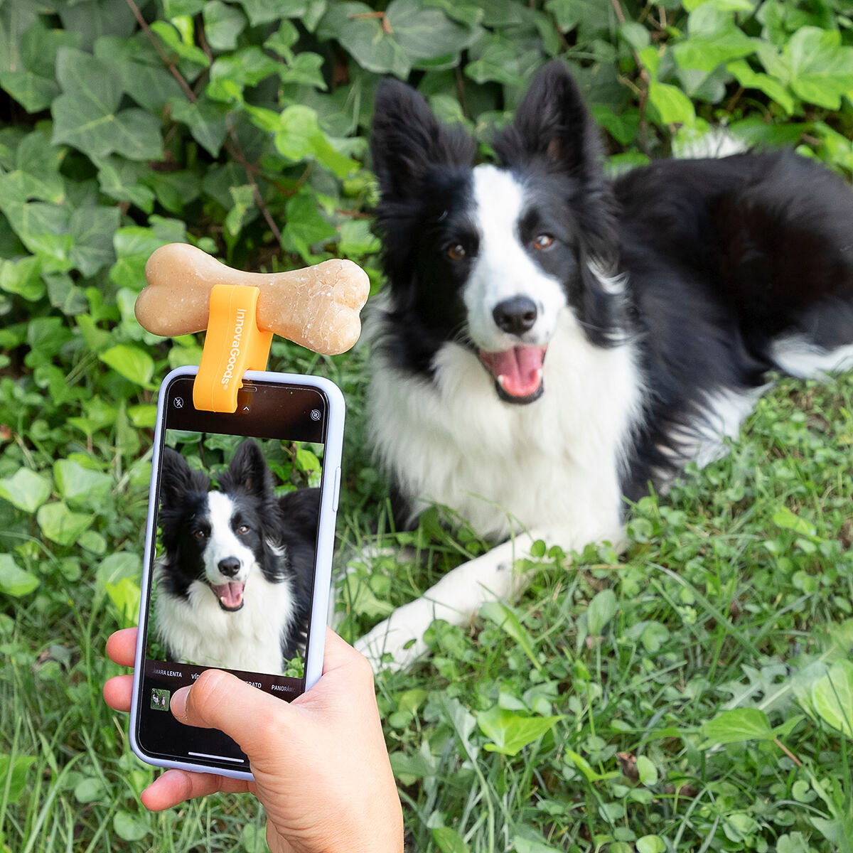 Κλιπ Selfies για κατοικίδια Pefie InnovaGoods