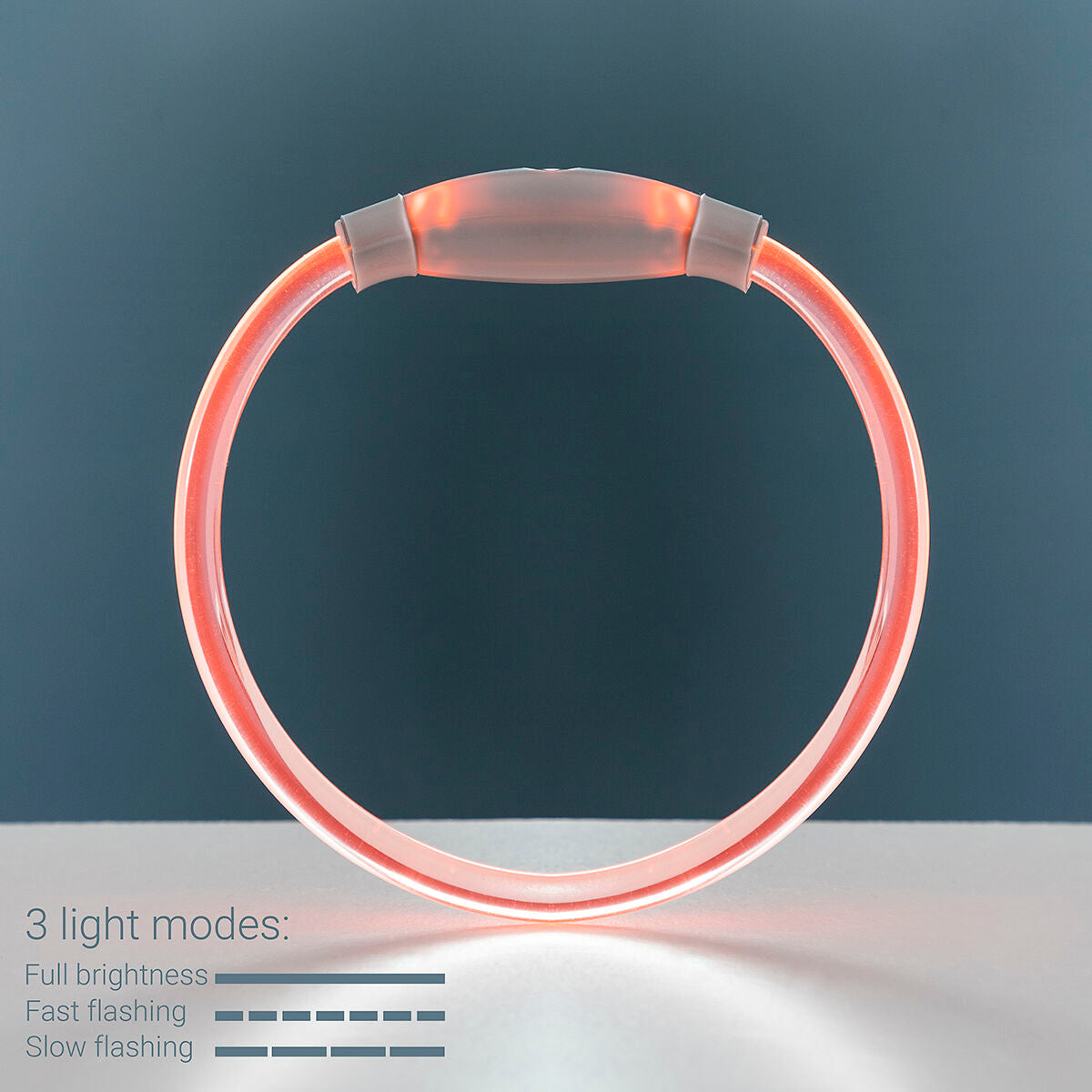 Κολάρο LED για Κατοικίδια Ζώα Petlux InnovaGoods