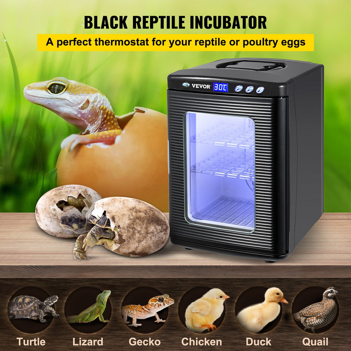 VEVOR Black Reptile Incubator 25L Scientific Lab Incubator Digital Incubator Cooling and Heating 5-42°C Reptile Egg Incubator 12V/110V Work for Small Reptiles