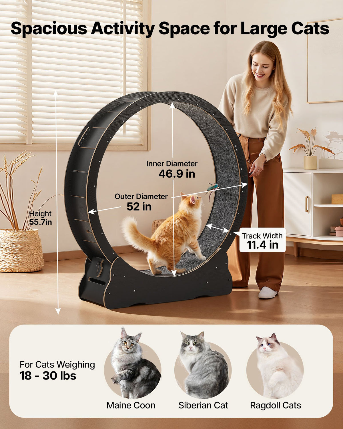 VEVOR Cat Exercise Wheel, 132cm Wooden Cat Running Wheel for Indoor Kitten up to 12.7kg, Cats Treadmill with Carpeted Runway & Locking Mechanism, Quiet Cat Sport Toys for Pets Fitness & Health, Black