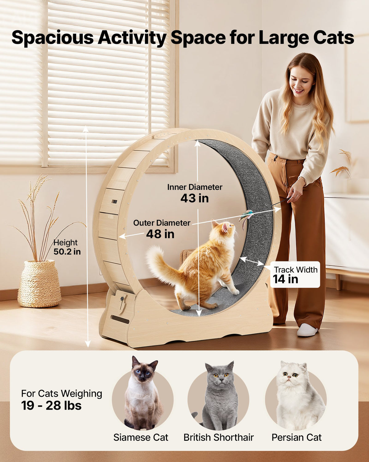 VEVOR Cat Exercise Wheel, 120cm Wooden Cat Running Wheel for Indoor Cats up to 12.7kg Cats Treadmill with Carpeted Runway & Locking Mechanism, Quiet Roller Kitten Sport Toys for Pets Fitness & Health