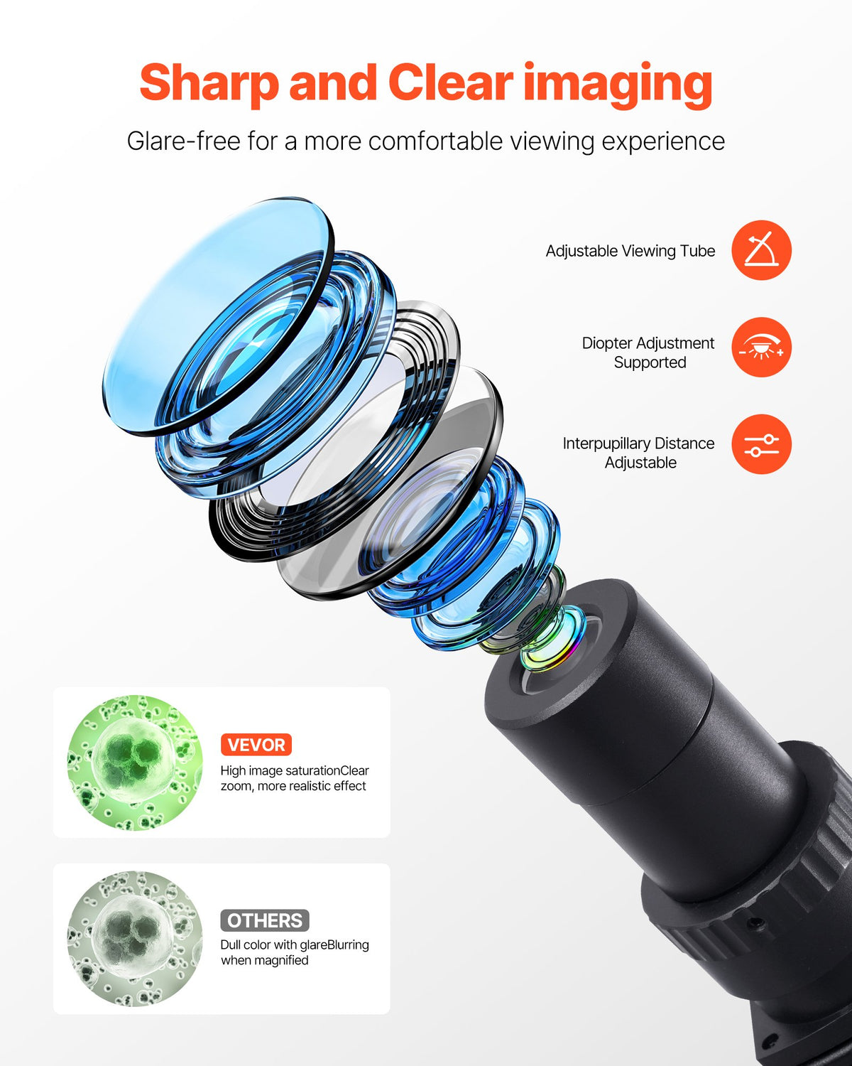 VEVOR Binocular Microscope for Adult