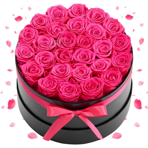 VEVOR Forever Flowers, 27 Preserved Roses in a Box, Eternal Flowers Immortal Bouquet Birthday Present for Delivery Prime Women Her Wife Mothers, Anniversary, Valentine's Day,Christmas, Rose Red