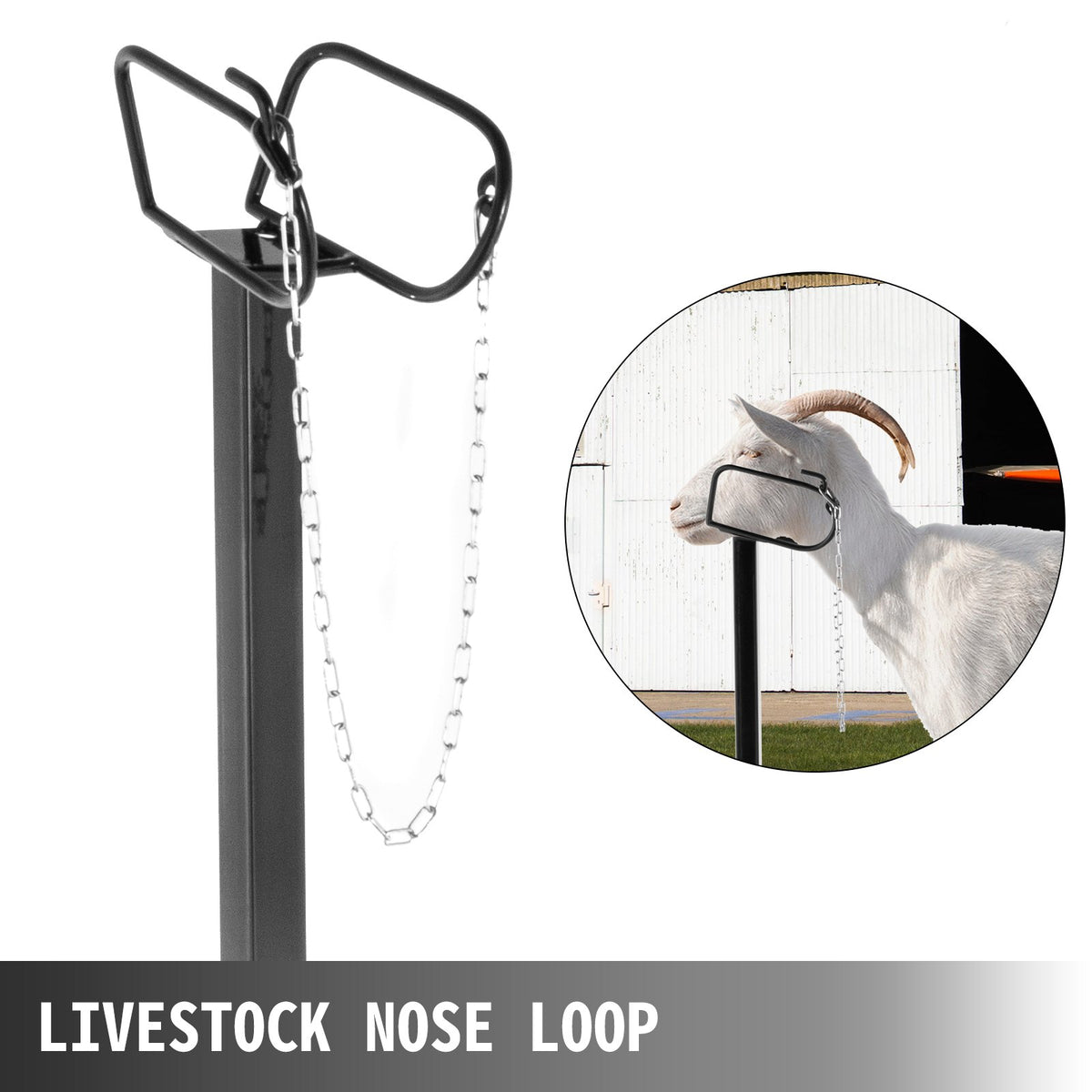 VEVOR Livestock Stand 51x23 inches, Trimming Stand with Straight Head Piece, Goat Trimming Stand Metal Frame Sheep Shearing Stand Livestock Trimming Stands