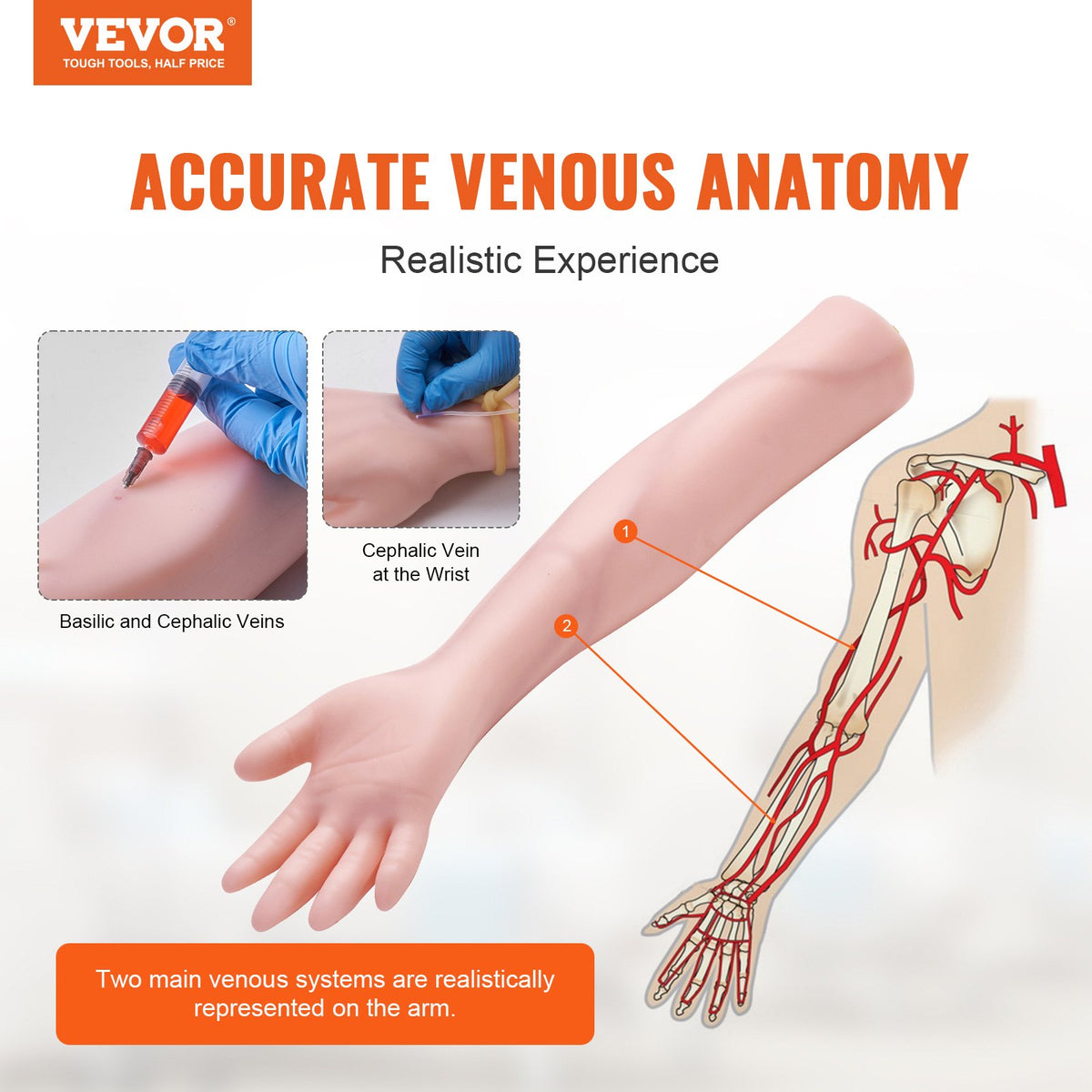 VEVOR Phlebotomy Practice Kit